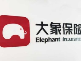 大象保险（大象保险双12大促，9块9就能买一份少儿综合意外保险是真的吗？）