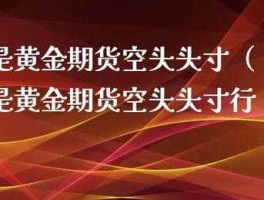 空头头寸（什么是空头头寸？）