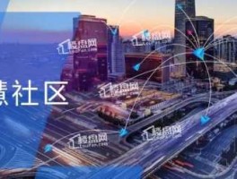 白领社区 中国年轻人最大的网络社区谁知道？