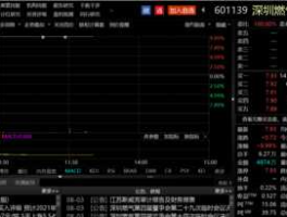 深圳燃气股票？什么叫天然气深燃？