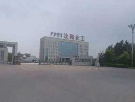 沈阳化工集团（沈阳化工有前途吗？）