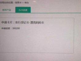 300200（农行信用卡代码300200具体啥意思，好像很少有这个代码？）