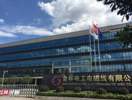 金杯电工股票，金杯电磁线有限公司怎么样？
