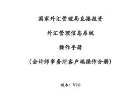 直接投资外汇管理信息系统，公司汇款美元怎么备案？