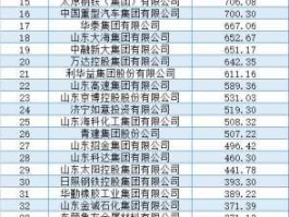 2011中国企业500强，山东潍坊的500强企业？