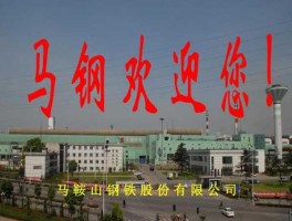 马钢股份？马钢股份如何？