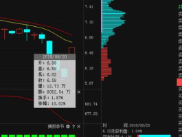 000759股票 中百属于百货商场吗？