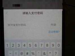 淘宝快捷支付安全吗？淘宝网付款只要输入支付密码这样安全吗？