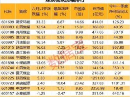 600123股票（煤炭板块的龙头股？）