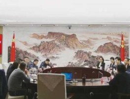 金花集团（椰树集团四朵金花分别叫什么名字？）