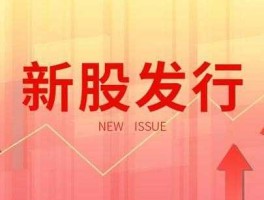 新股发行，上市公司发行新股什么意思？
