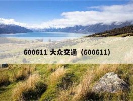600611大众交通？600611大众交通都经营什么业务
