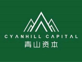 青山资本？35岁中年危机哪个公司提出来的？