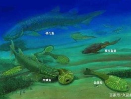 55亿年前海底生物 海底的盐是怎么来的？