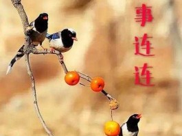 连连（连连不断的意思？）