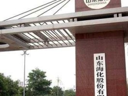 海化（海化集团是国企还是私企？）