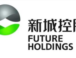 900950？江苏新城房产股份有限公司怎么样？