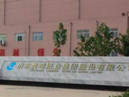 晨鸣纸业（武汉晨鸣纸业为什么搬到黄冈？）