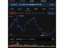 002503股票？大消费股票有哪些？