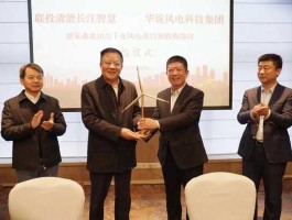 长江投资，湖北清能集团与长江投资公司关系？