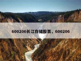 股票600206，长江存储股票代码？