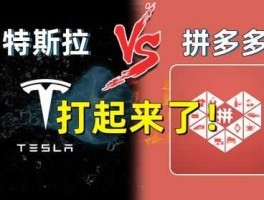 拼多多团购特斯拉 和平精英特斯拉在拼多多上可信吗？