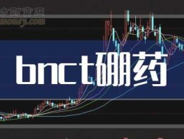 抗癌药上市公司，bnct硼是哪个公司上市产品？