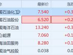 中石化股票代码？中石化80是什么意思？