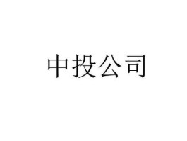 中投公司（中投公司在上海吗？）