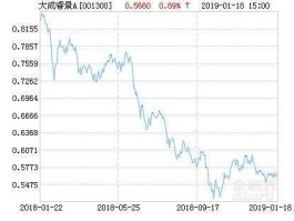 大成成长基金（370007基金今日净值大成？）