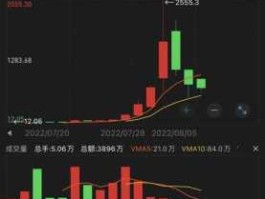 600653股票？中国股市历史上股价最高的股票？