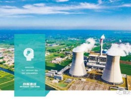 新集能源，新集能源是国企还是私企？