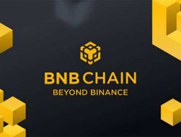 币安HODLer 空投是什么？新手教学：参加方式一次看懂（2025 最新版）