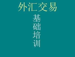 外汇新手入门讲解（外汇入门基础教程）