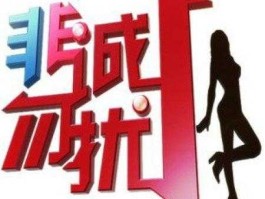 江苏卫视非诚勿扰第一期，非诚勿扰雷诺是哪一期？