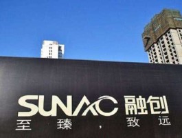 融创？融创集团有限公司官网？