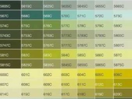 605020，俄罗斯色号605020对应的潘通色号是？