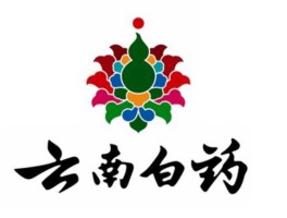 云南白药集团公司，云南白药历史背景？