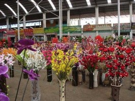 300492 国内哪个鲜花市场上市？