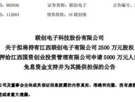 002036 002036联创电子公司介绍？