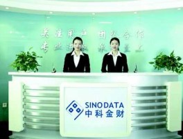中科金财，中科金财上市了吗？主要是做哪方面的业务？