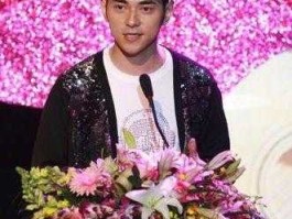 李晨 主持人？一线明星李晨是主持人吗？