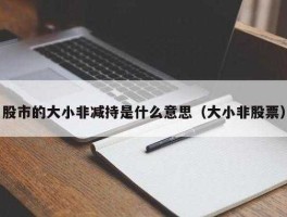 大小非 什么是大小非？