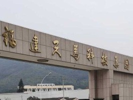 天马科技？天马科技是国企吗？