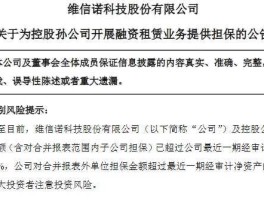 002387股票，京东方和维信诺怎么分辨？