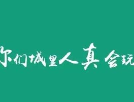 为国护盘，2015网络热词排行榜？
