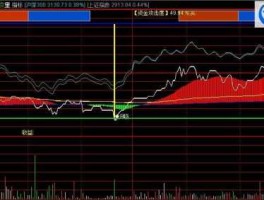 通达信分时指标（如何在通达信分时图的分时线上加指标公式？）