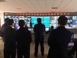 金鼎资本，辽宁金鼎镁矿集团有限公司怎么样？