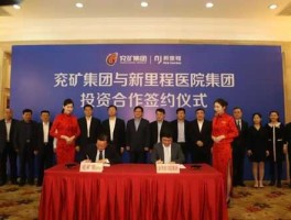 中国医疗集团（北京新里程医疗集团是什么企业？）