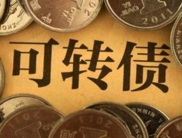 小康转债（小康转股是什么意思？）